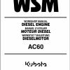 Kubota Diesel Engine AC60