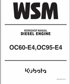Kubota Diesel Engine OC60-E4