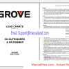 Grove Cranes Series RT 58B Shop Manuals